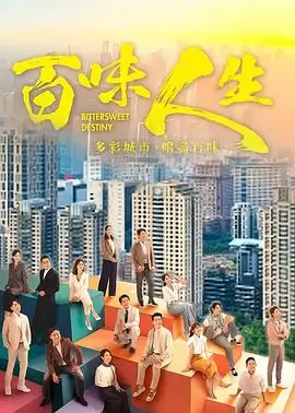 沉默的证词 剧集封面